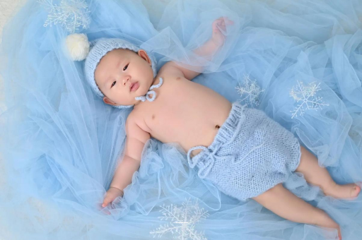 泗洪宝宝树怎么样 泗洪宝宝树怎么样